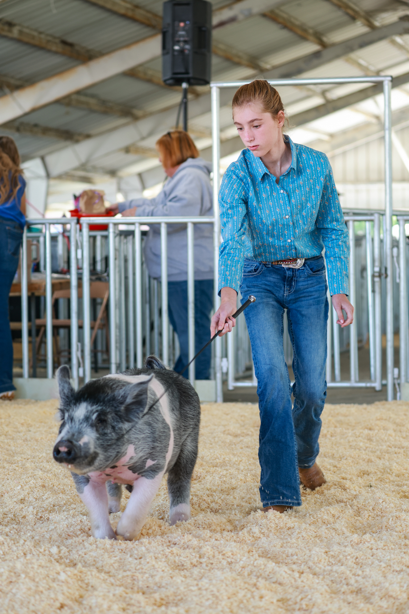 Young 4-H member showing a black and white project pig in the show ring at a livestock event.