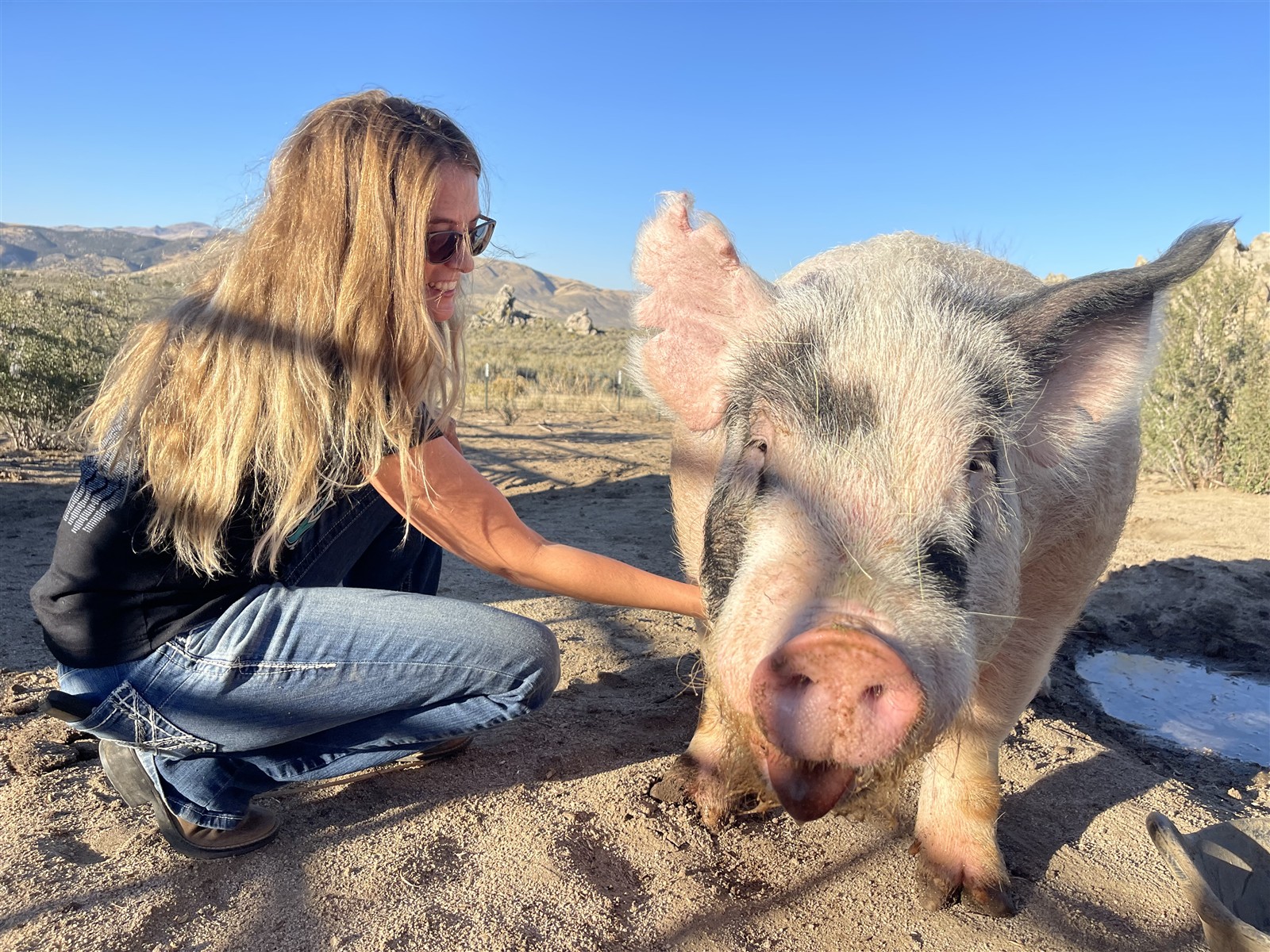 Megan Varni with one of the family’s pigs on the Varni Family Show Pigs farm near Reno, Nevada.